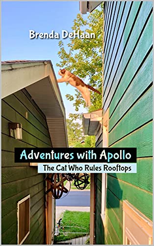 Free: Adventures with Apollo: The Cat Who Rules Rooftops